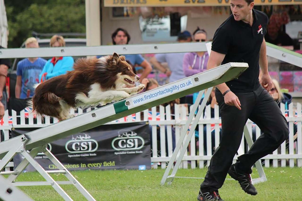 Anthony Clarke with agility dog