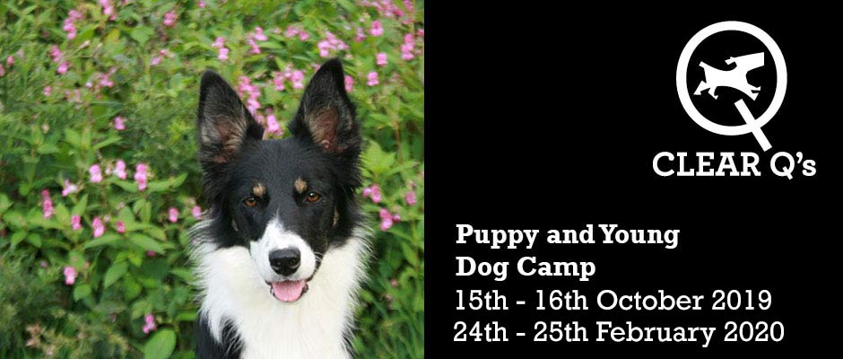 Clear Q's Slider image