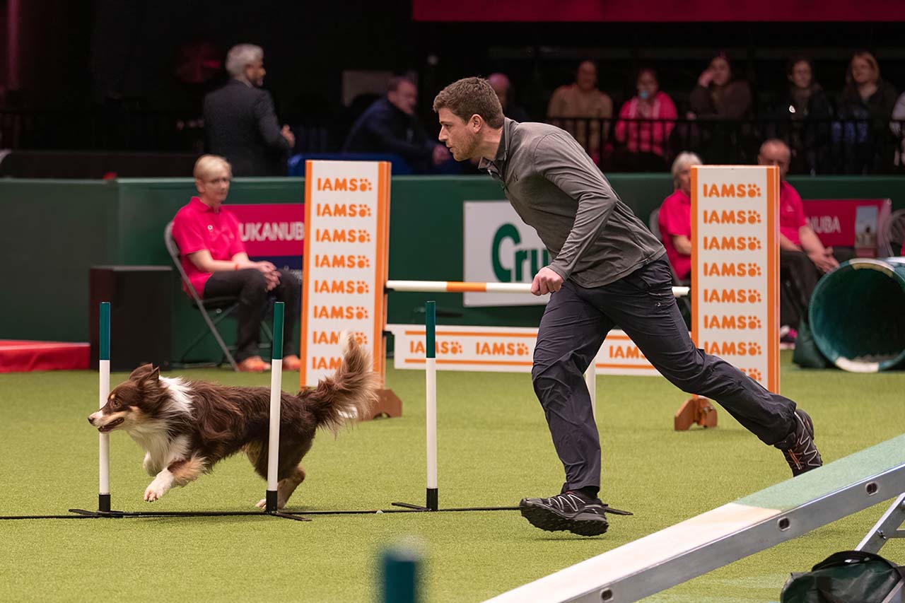 Anthony Clarke with agility dog